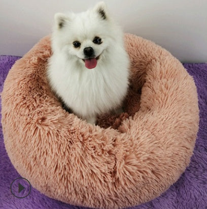 Dog Beds For Small