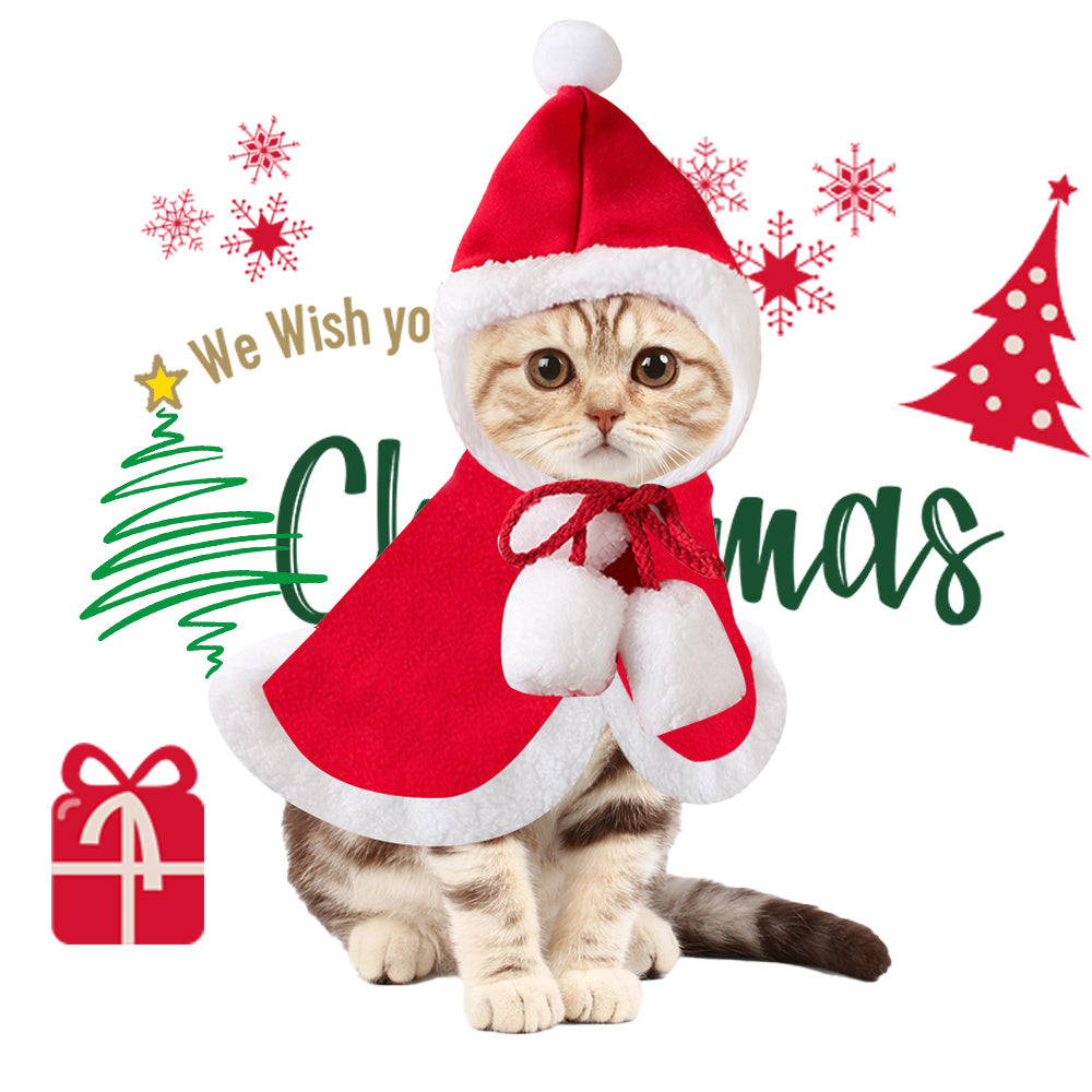 Cat Christmas Outfits,
