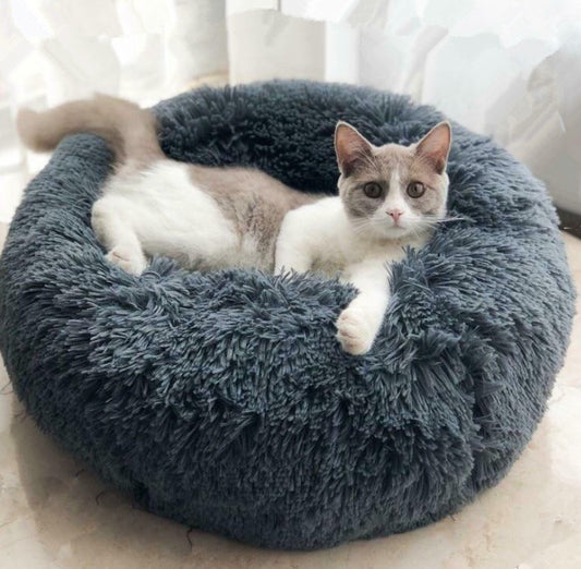 Dog Beds For Small