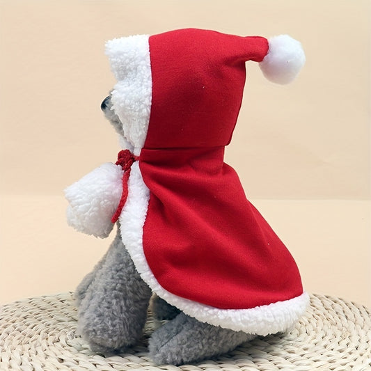 Cat Christmas Outfits,